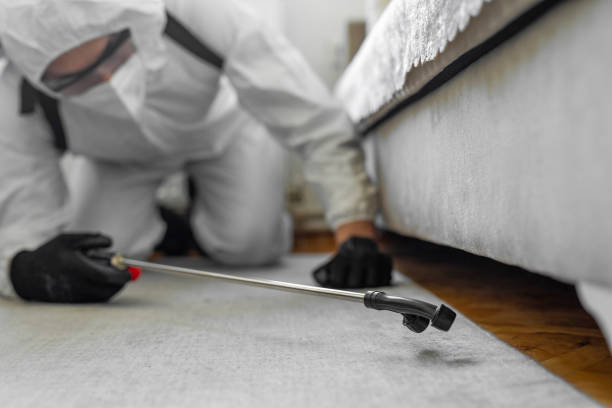 Professional Cockroach Control technician working in Raymond, WA